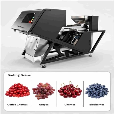 Máquina clasificadora de fruta fresca